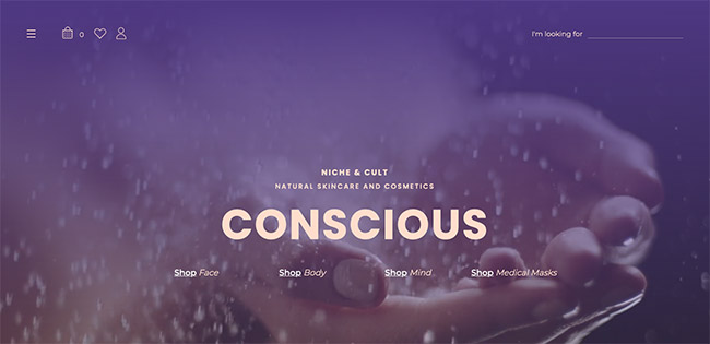 Ethical Ecommerce Interviews: Niche & Cult on Expanding and Rebranding